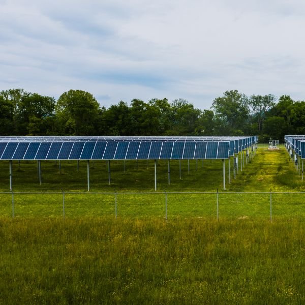 Sustainability